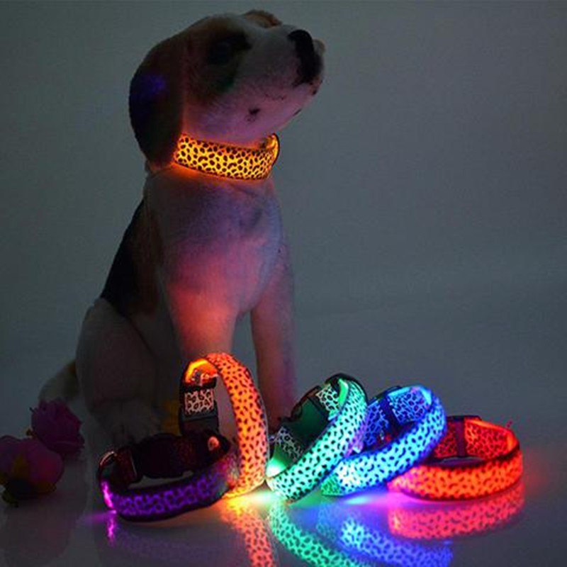 Collar & Leashes: Stylish Dog Collars and Leashes for Every Adventure