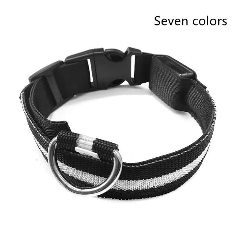 LED Dog Collar Nylon Light Up safety collar in black color for pets, featuring a durable nylon design.