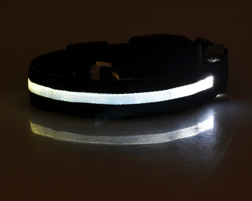 LED Dog Collar Nylon Light Up safety collar in black color for pets, featuring a durable nylon design.