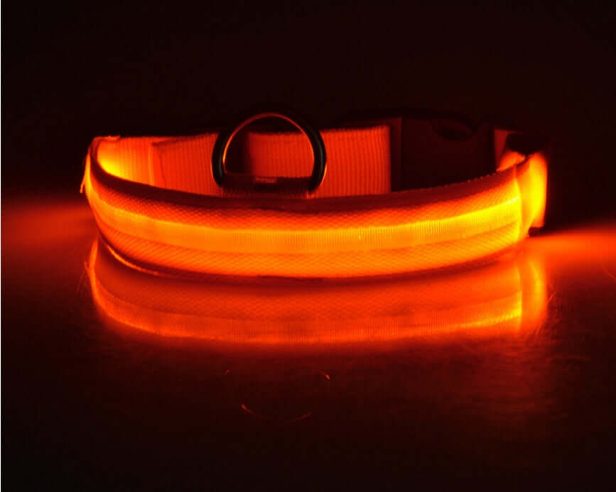 LED Dog Collar Nylon Light Up illuminated in dark, enhancing pet visibility during nighttime walks.