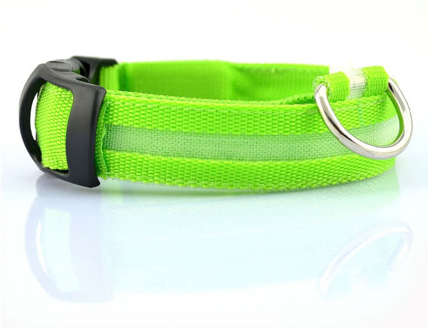 LED Dog Collar Nylon Light Up safety collar in green color for pets, featuring a durable nylon design.