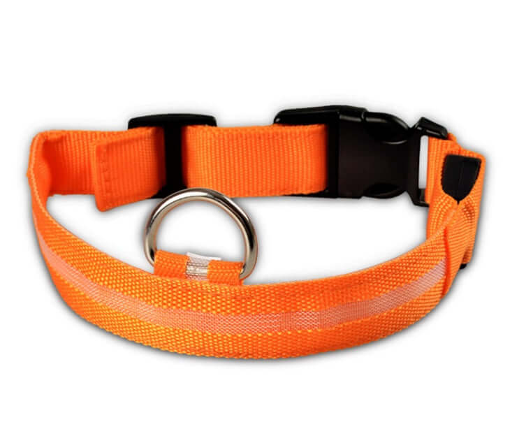 LED Dog Collar Nylon Light Up Safety Collar in bright orange with reflective strip and metal D-ring.