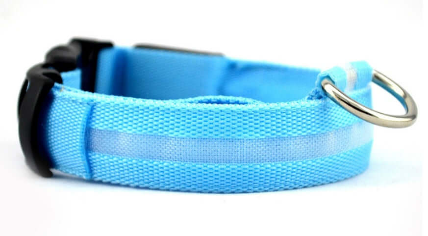LED Dog Collar Nylon Light Up safety collar in light blue color for pets, featuring a durable nylon design.