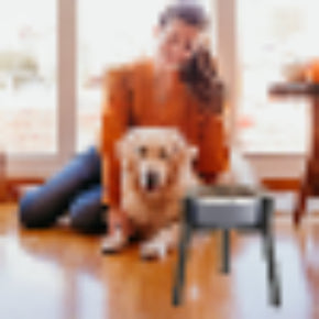 Premium Elevated Single Dog Bowl – Ergonomic Raised Stainless Steel Diner with Modern Metal Stand
