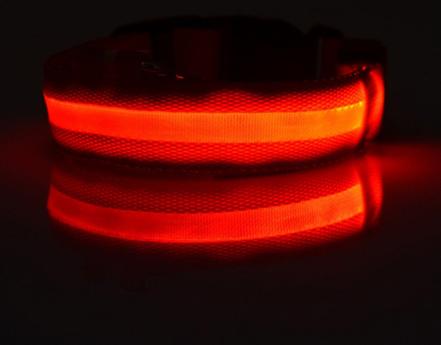 LED Dog Collar Nylon Light Up glowing in red, improving pet visibility for nighttime safety.