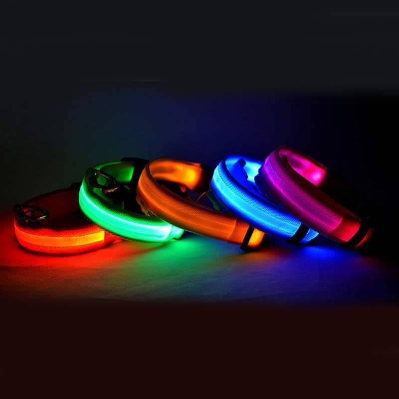 LED Dog Collar Nylon Light Up displayed in various bright colors for nighttime visibility and safety.