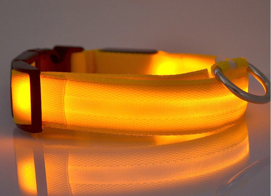 LED Dog Collar Nylon Light Up safety collar in golden color for pets, featuring a durable nylon design.
