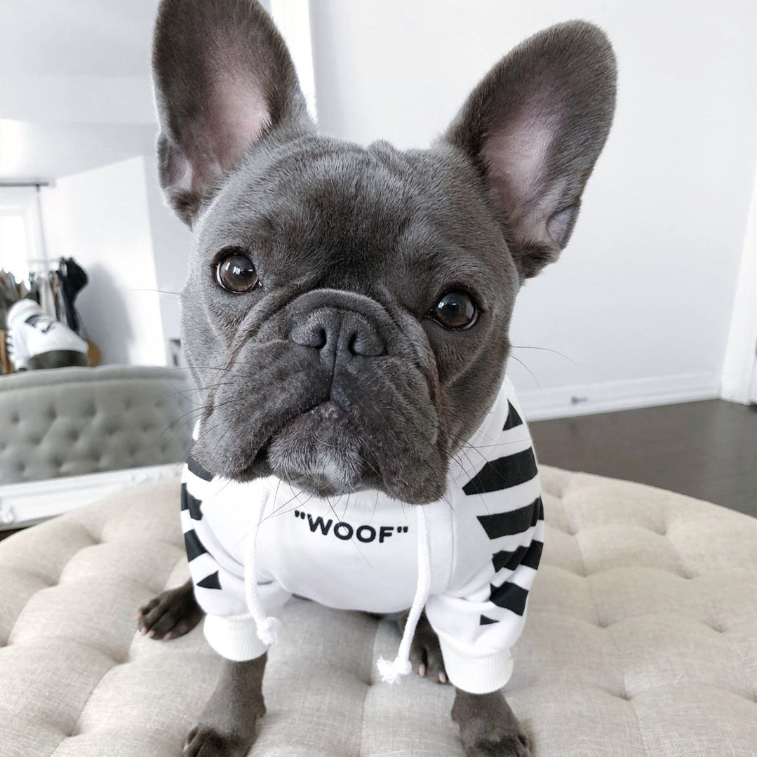Warm Dog Sweater for Autumn & Winter