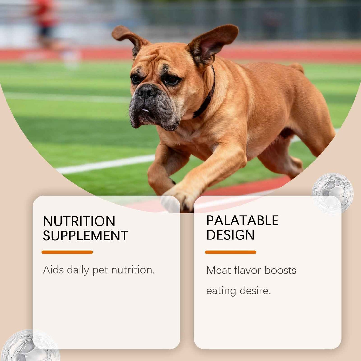 Dog Turmeric Soft Granules | Mobility & Arthritis Relief
