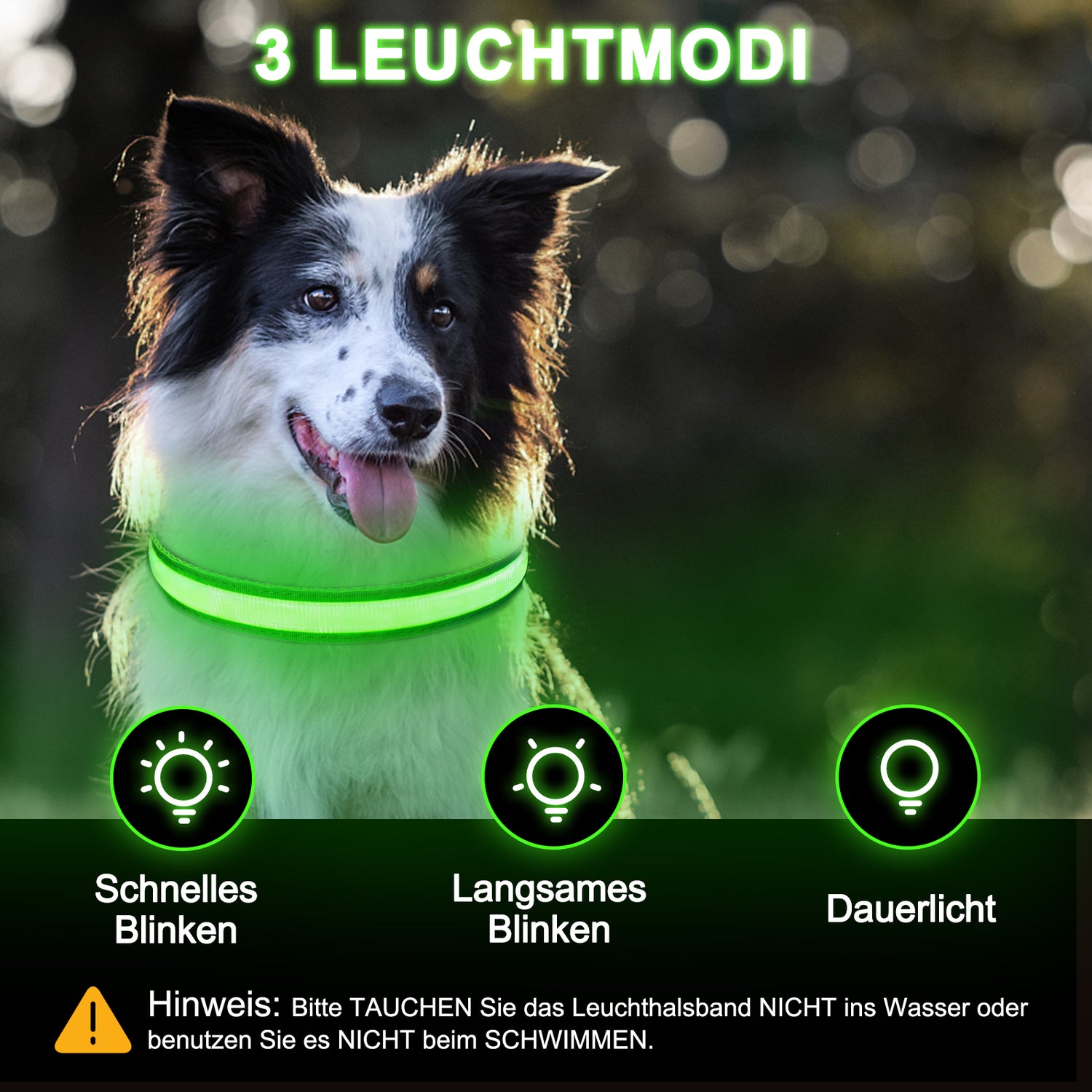 Dog Collar Lights