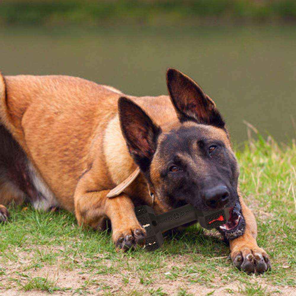 Durable Dog Chew Toy for Aggressive Chewers | Dumbbell Toy