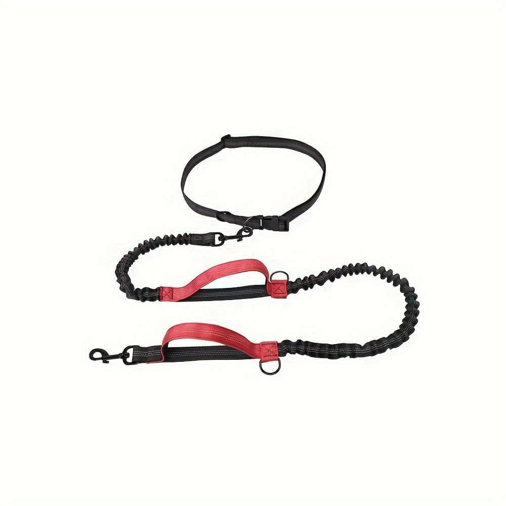 Hands Free Dog Leash for Running and Walking