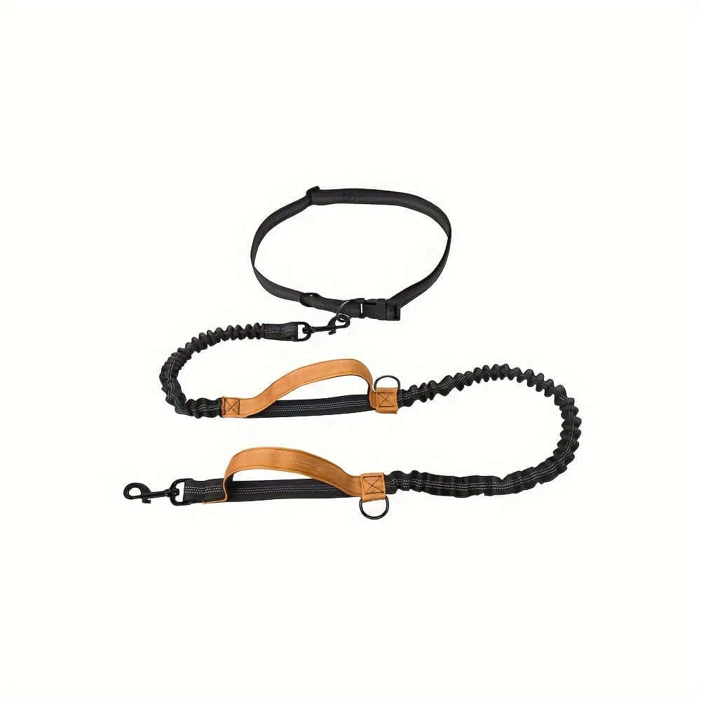 Hands Free Dog Leash for Running and Walking
