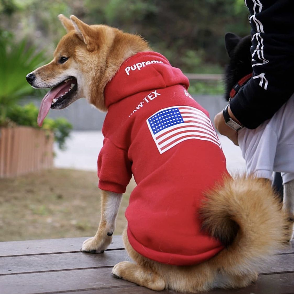 Pet Clothes & Jackets