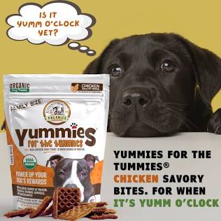 Dog treats