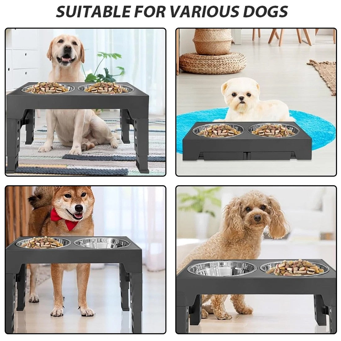 Stainless Steel Double Dog Feeding Station