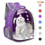 Large Capacity Transparent Pet Backpack
