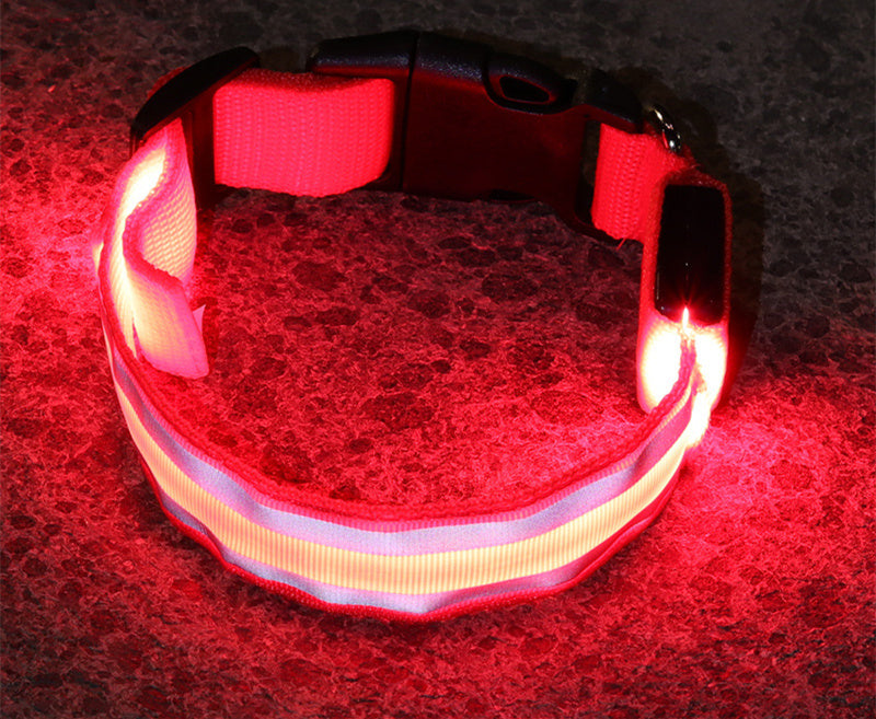 Luminous LED Safety Dog Collar