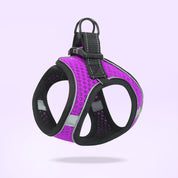 Breathable Dog Harness Set