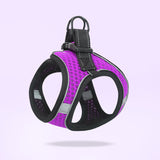Breathable Dog Harness Set