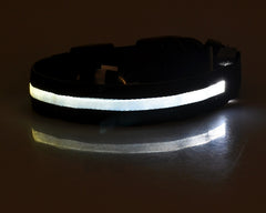 LED Dog Collar Nylon Light Up safety collar in black color for pets, featuring a durable nylon design.