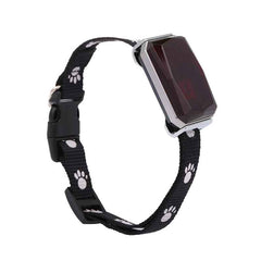 GPS dog positioning collar