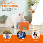 Circulating Pet Water Dispenser