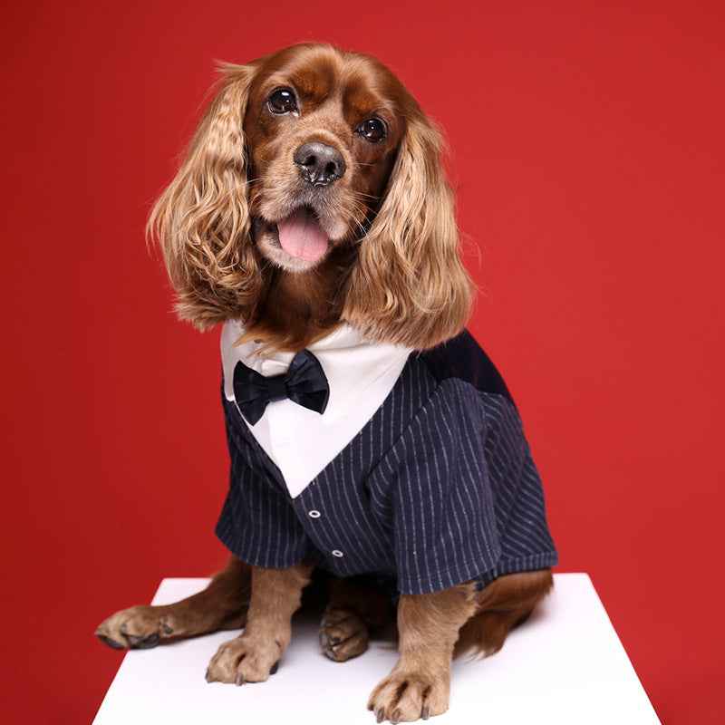 Dog Tuxedo & Gentleman Suit | Pet Wedding Clothes