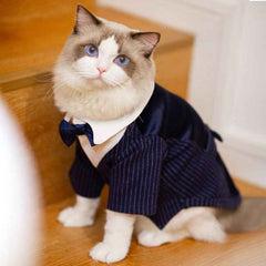 Dog Tuxedo & Gentleman Suit | Pet Wedding Clothes