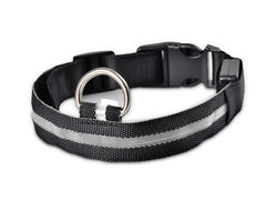 LED Dog Collar Nylon Light Up safety collar in black color for pets, featuring a durable nylon design.