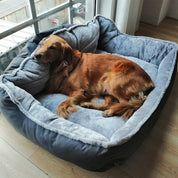 Golden Retriever Dog Sofa Bed