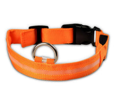 LED Dog Collar Nylon Light Up Safety Collar in bright orange with reflective strip and metal D-ring.