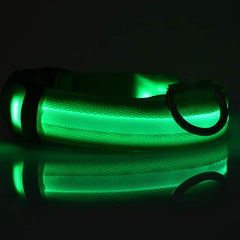 LED Dog Collar Nylon Light Up glowing green collar for pet safety during nighttime walks.
