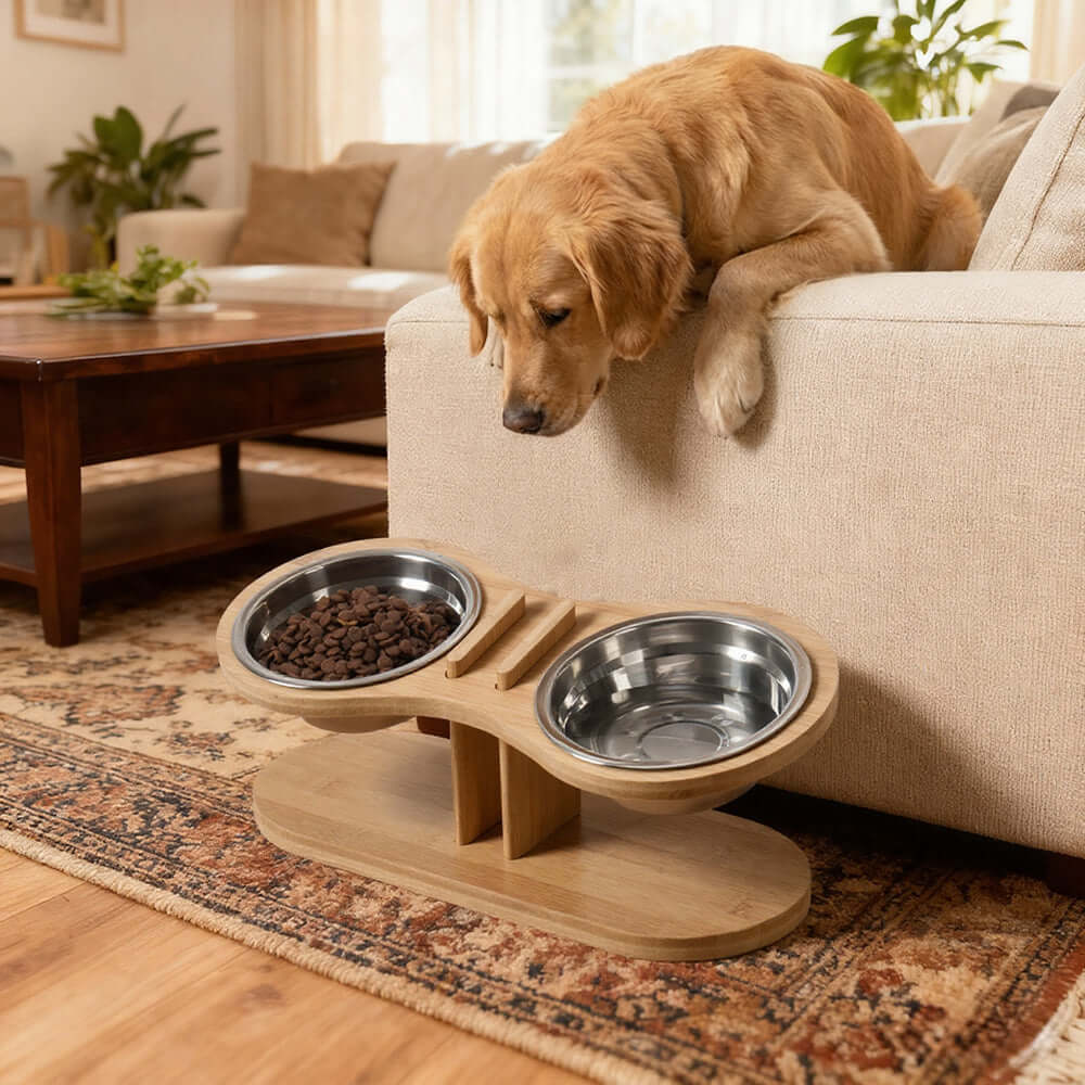 Adjustable Tilted Pet Stand With A Feeding Bowl for dogs and cats