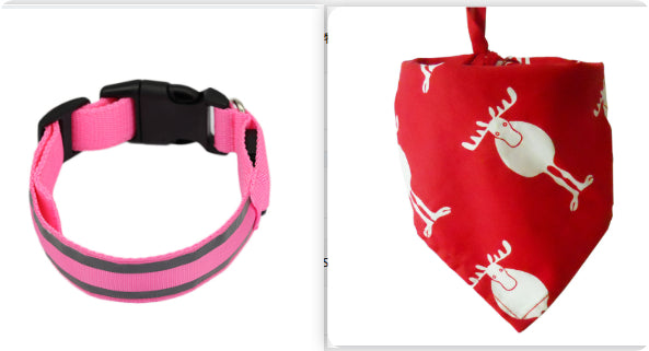 Luminous LED Safety Dog Collar