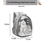 Large Capacity Transparent Pet Backpack