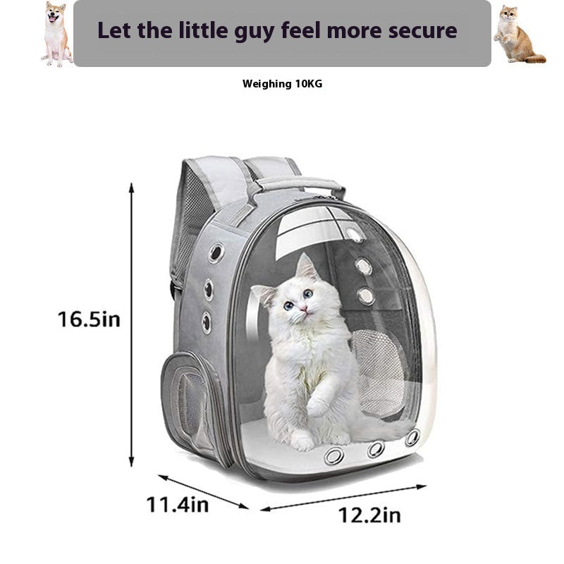Large Capacity Transparent Pet Backpack