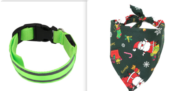 Luminous LED Safety Dog Collar