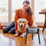 Bracket Adjustable Dog Feeding Bowl