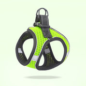 Breathable Dog Harness Set