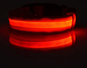 Flashing Night Safety Pet Collar