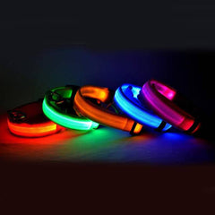 LED Dog Collar Nylon Light Up displayed in various bright colors for nighttime visibility and safety.