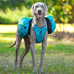 Detachable Dog Hiking Backpack | 2-in-1 Saddlebag Harness