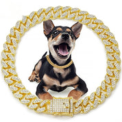 Diamond Metal Dog Collar & Leash