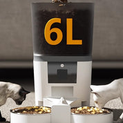 Automatic Pet Food Dispenser