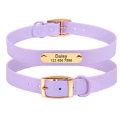 Teddy Dog Collar Rope