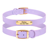 Teddy Dog Collar Rope