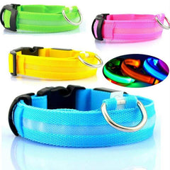 LED Dog Collar Nylon Light Up in bright colors: green, pink, yellow, and blue with reflective features.