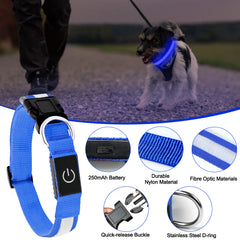 Dog Collar Lights for the dark night, featuring adjustable bright green design and durable materials for pet safety.