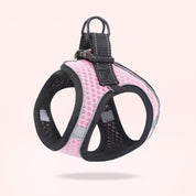 Breathable Dog Harness Set